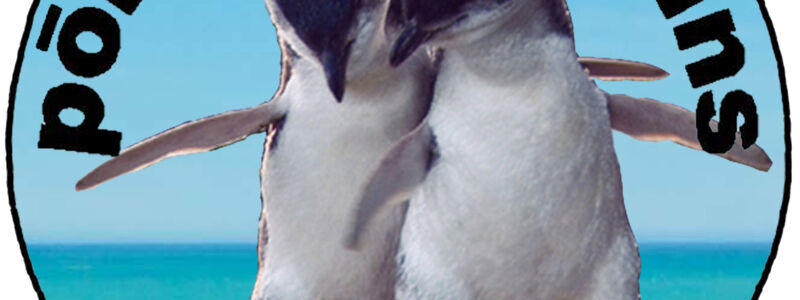 Pohatu Penguins Logo_macron_RGB_1.png