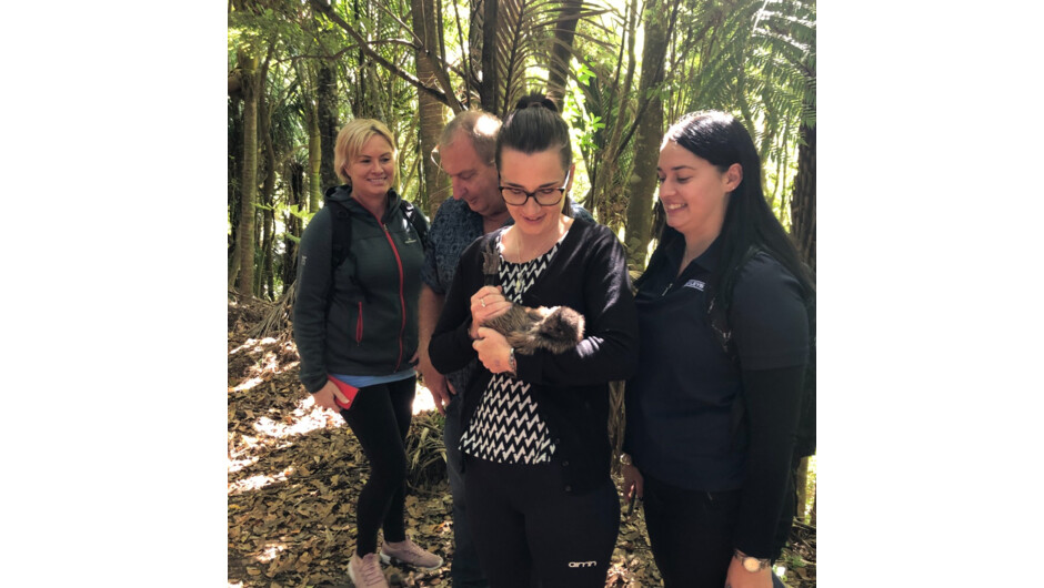Guests contributing to the Kiwi’s wellbeing by learning about Kiwi health examinations and actively participating (under supervision of an accredited Kiwi handler)