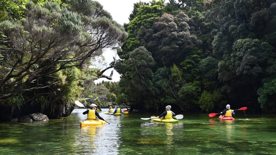 Activities include kayaking