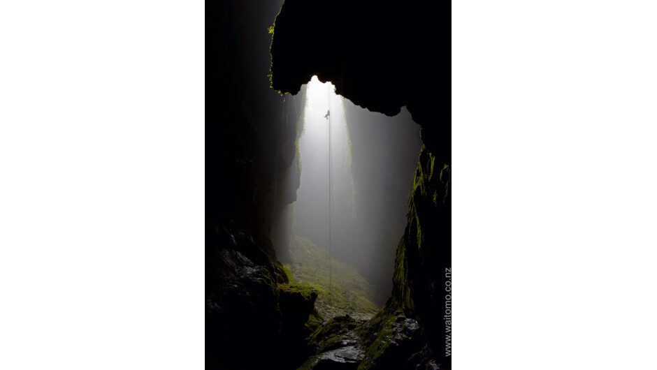 Waitomo Caves