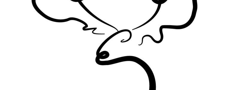 Scandi Studio Logo Mark Black.png