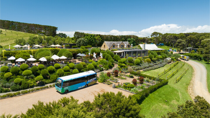 Fullers360 - Hop-On Hop-Off Explorer Bus | Activity in Auckland, New