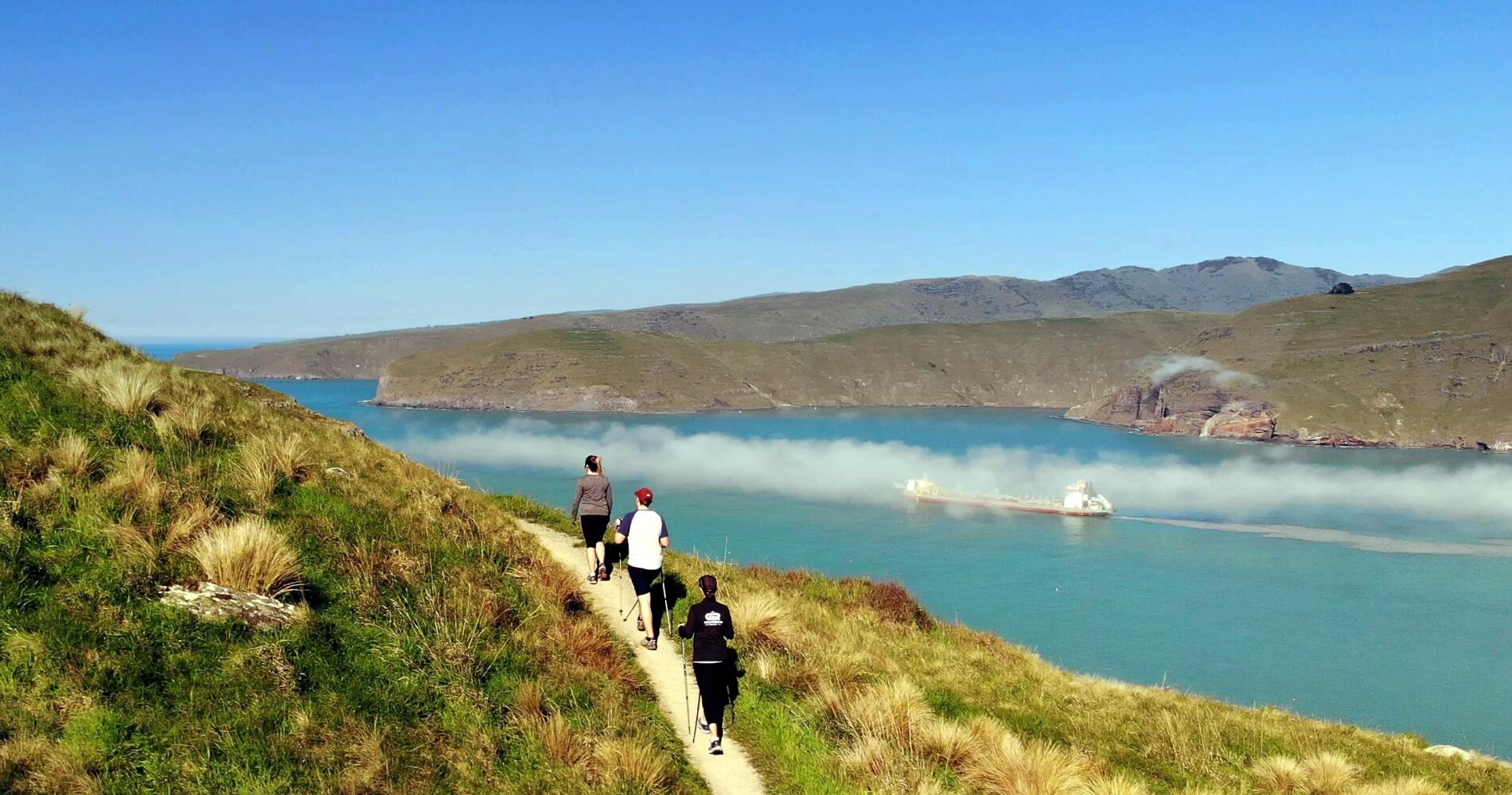 Half Day Guided Crater Rim Walk | Activities & Day Trips in ...