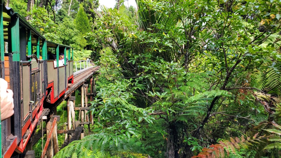 Fun for all ages: Driving Creek Railway.