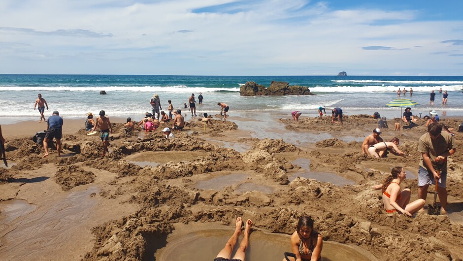 We are the only company offering tours to Hot Water Beach from Whitianga.