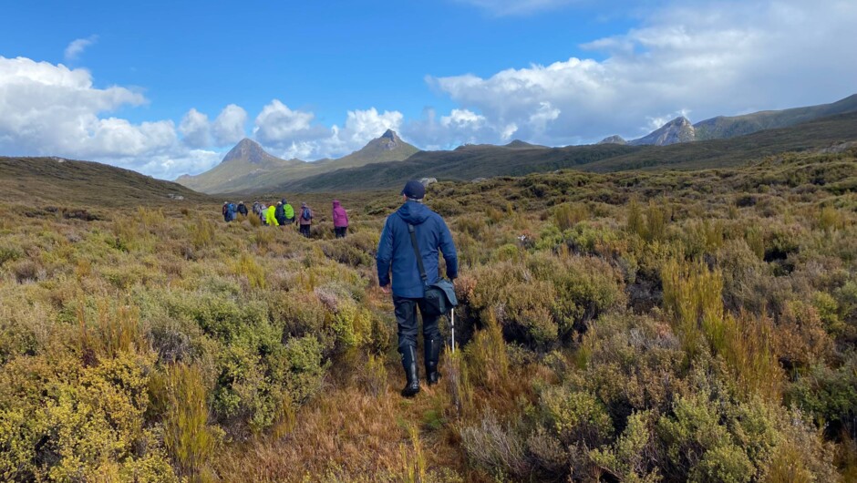 South Pegasus Track, Stewart Island