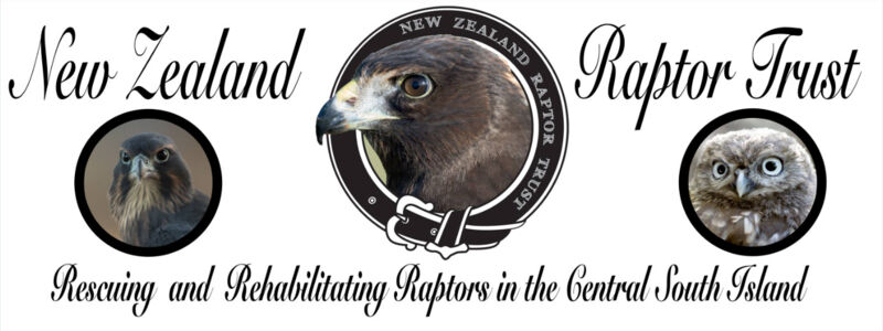 Raptor Trust Logo.PNG