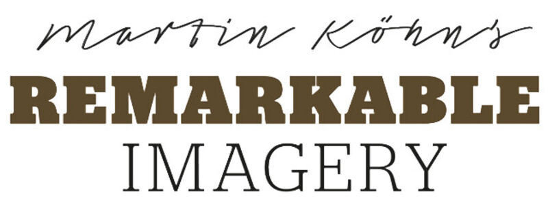 remarkimage_logo_stacked_650px.png