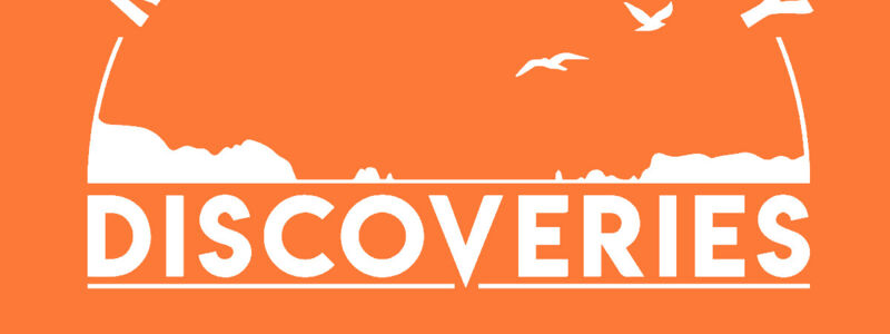 Mercury bay discoveries - logo - orange background.png