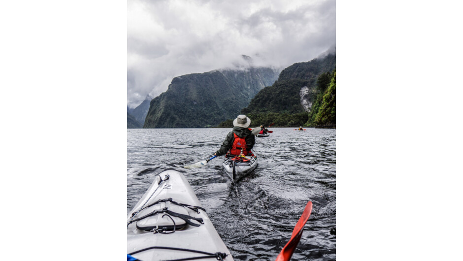 Exploring Doubtful Sound by kayak