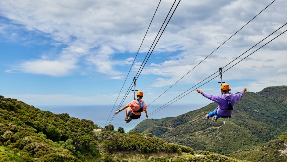 Each of our ziplines has spectacular sea or mountain views