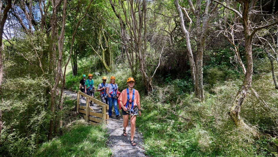 Learn about New Zealand&#039;s native fauna and flora on our beautiful forest trails