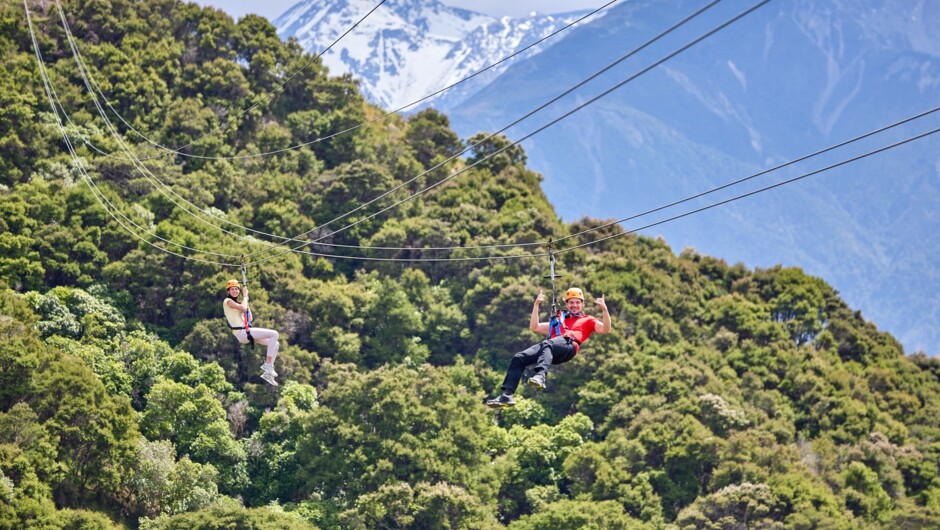Twin ziplines make this the perfect social experience to share with a friend