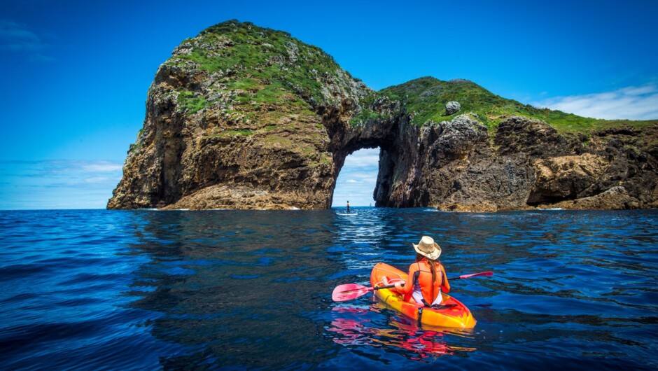 Poor Knights Islands Cruise - included activity