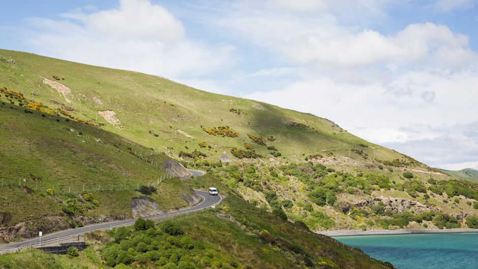 The winding roads of the Otago Peninsula provide access to remote locations for great viewing of wildlife.