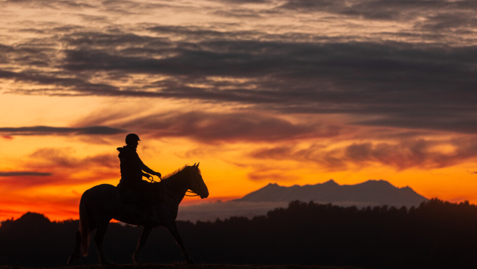 View of Mt Ruapehu at sunset on horseback, night 3 decadent horse trek.