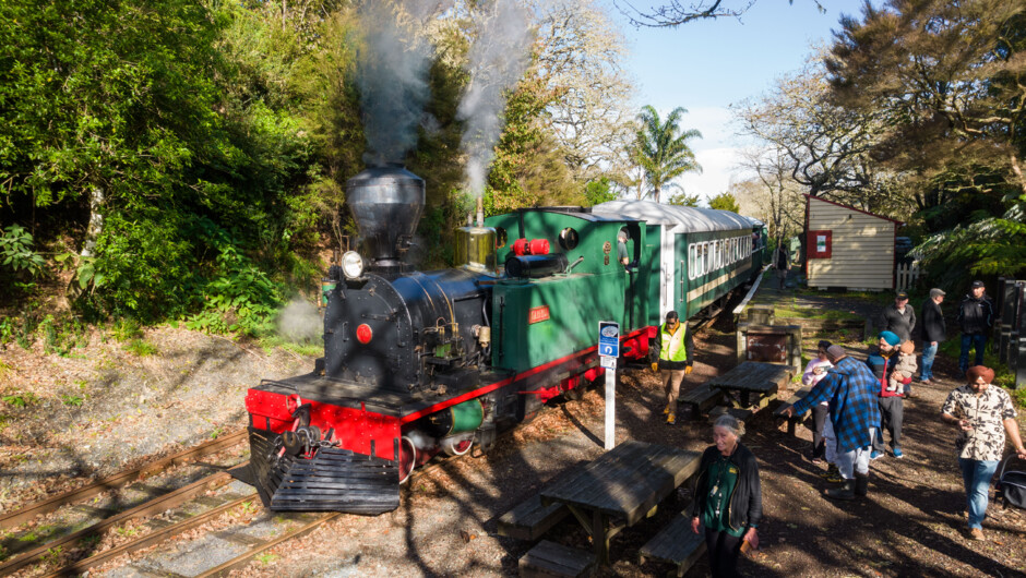 Historic stops at Taumarere Station, local history and stories offered across the experience from our friendly team. Plenty of opportunities for photos.