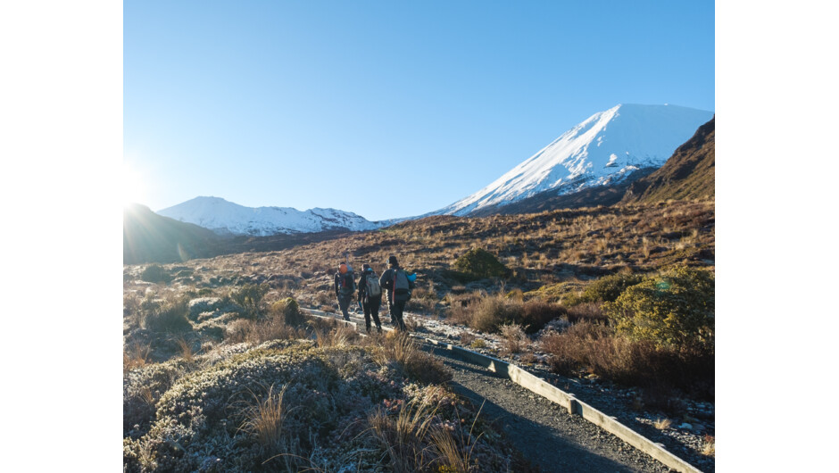 Tongariro Alpine Half Day Guided Walk.