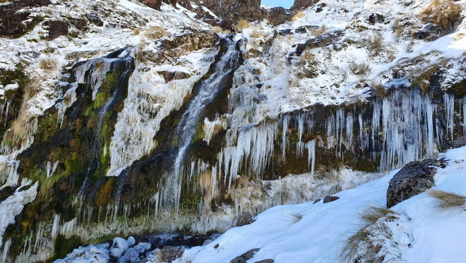 Tongariro Alpine Half Day Guided Walk. Soda Springs