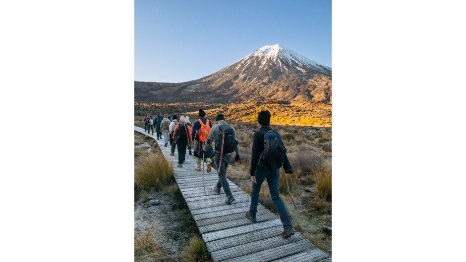 Tongariro Alpine Half Day Guided Walk.