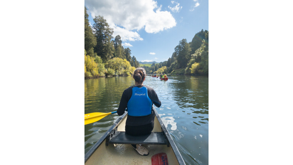 Adrift Tongariro: Whanganui River guided canoe trip