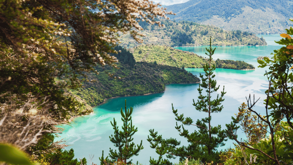 Set off on your South Island journey with ease. Our car rental services in Picton offer reliable vehicles for exploring the stunning landscapes and coastal delights of Marlborough and beyond.