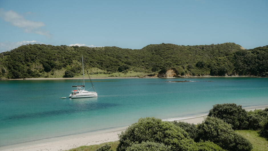 Beautiful white sand beaches and numerous viewpoints or bushwalks are just some of the attractions that you can enjoy as part of your day out in the Bay of Islands.