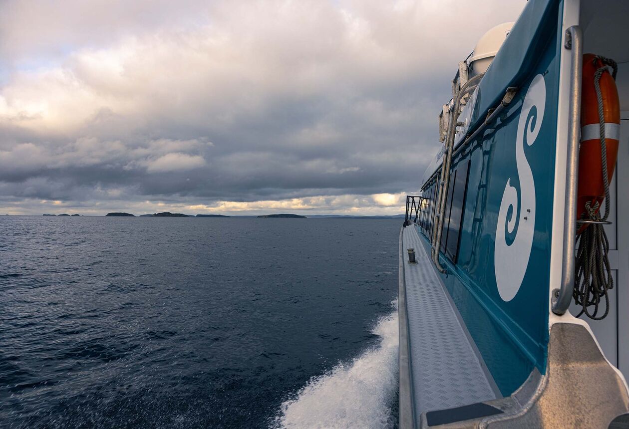 Rakiura Stewart Island Ferry services offer scheduled daily departures on board our express catamarans between Bluff and Rakiura Stewart Island (all year). During the one-hour crossing look out for wildlife.