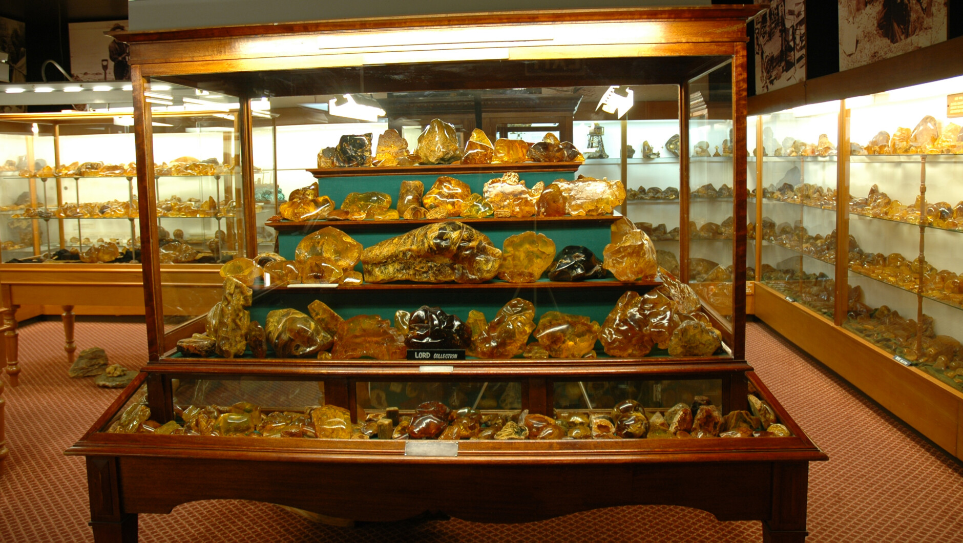 The Kauri Museum Activities & Day Trips in Northland & Bay of Islands