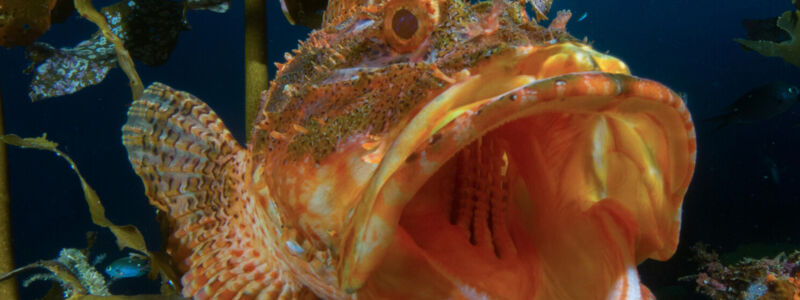 Untitled (3 A4 Landscape).png