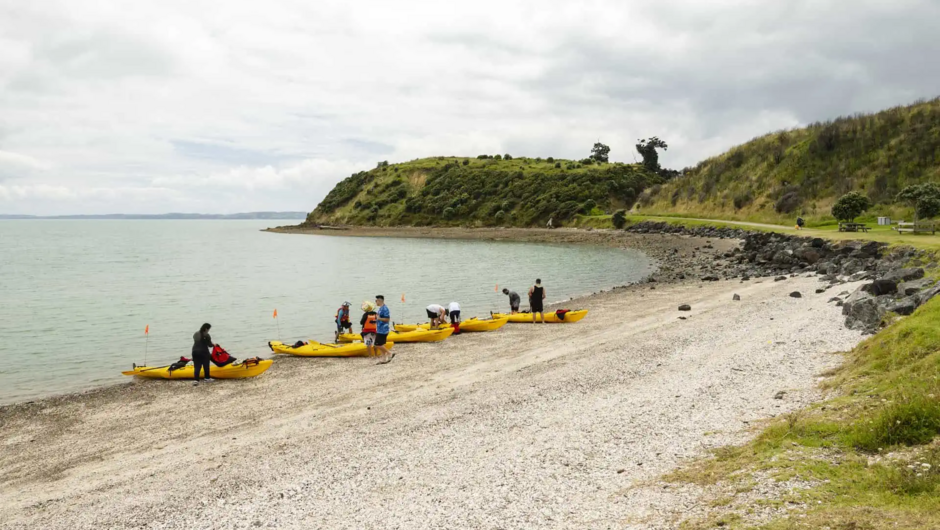 Hallertau Clevedon Kayak Tour Activity in Auckland, New Zealand