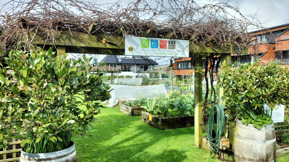 Community Garden - a sustainable oasis