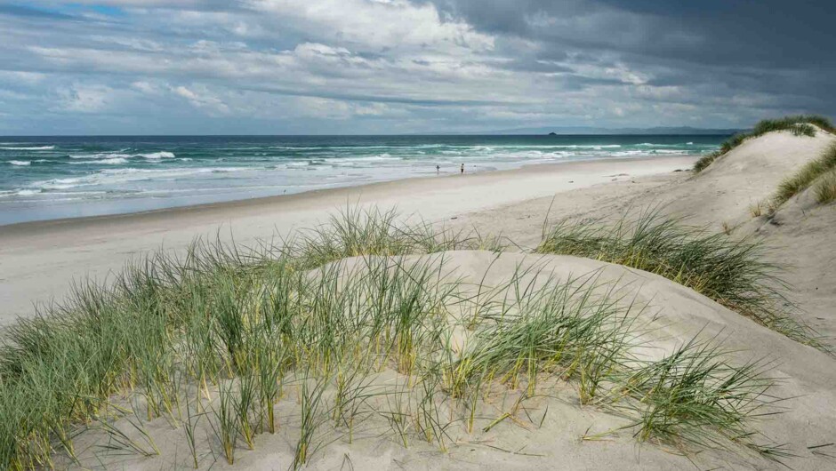 Dunedin beach