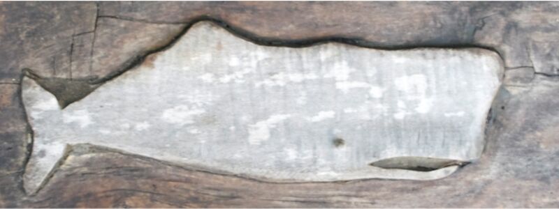 whale logo business card.jpg