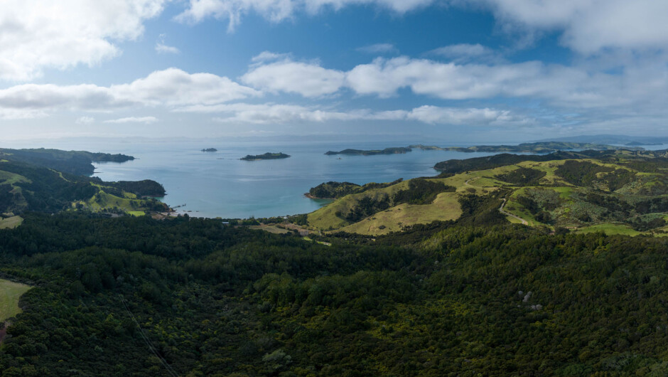 Man O&#039; War Forest Flight - aerial view