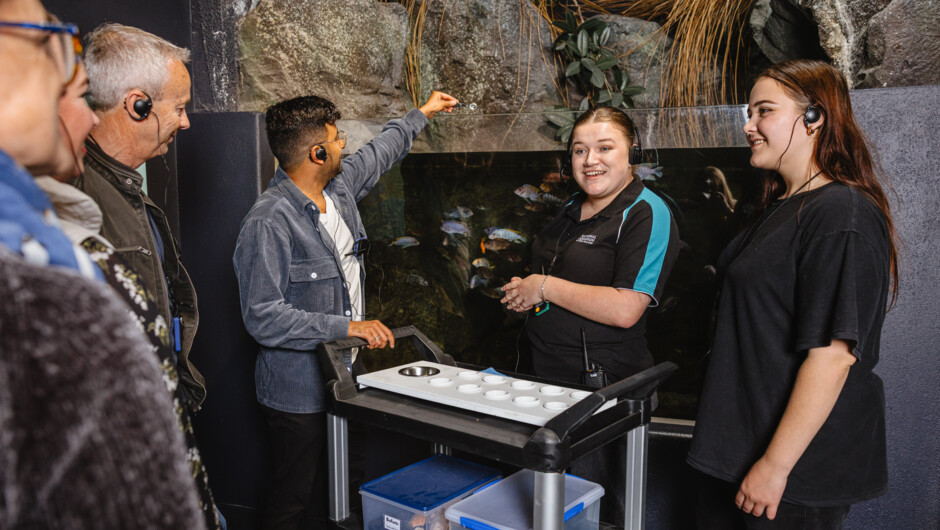 Book your Scales &amp; Tails Feeding Tour