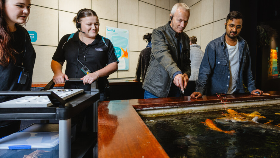 You&#039;ll have chances to help with feeding while learning how these sessions go beyond nutrition.