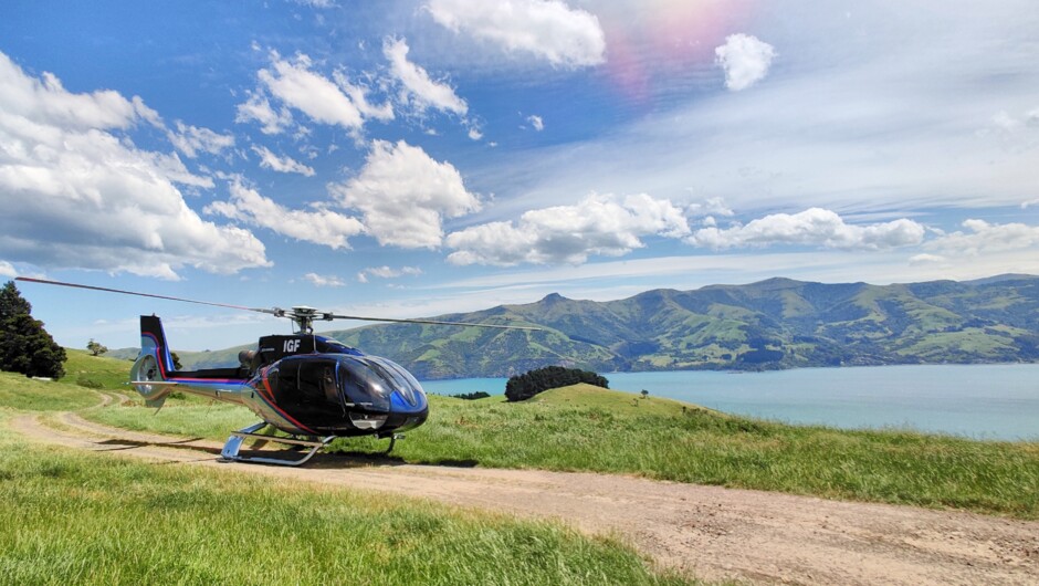 Landing at Akaroa