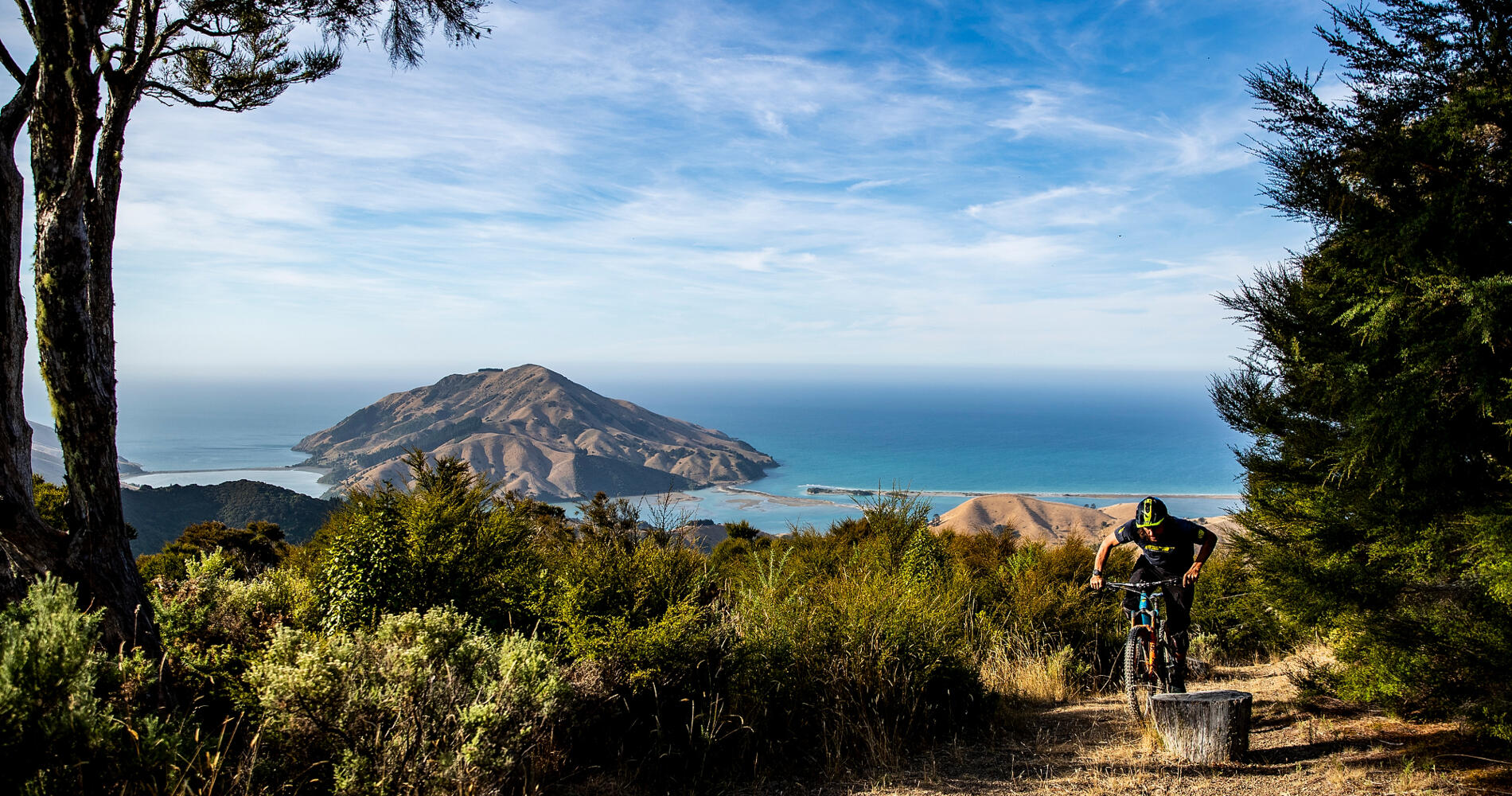 Cable Bay Adventure Park - MTB Trail Pass & Bike Hire | Activities ...
