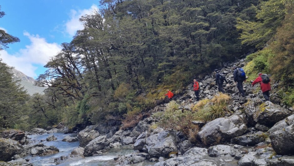 An array of red rain jackets walking through Goat Pass