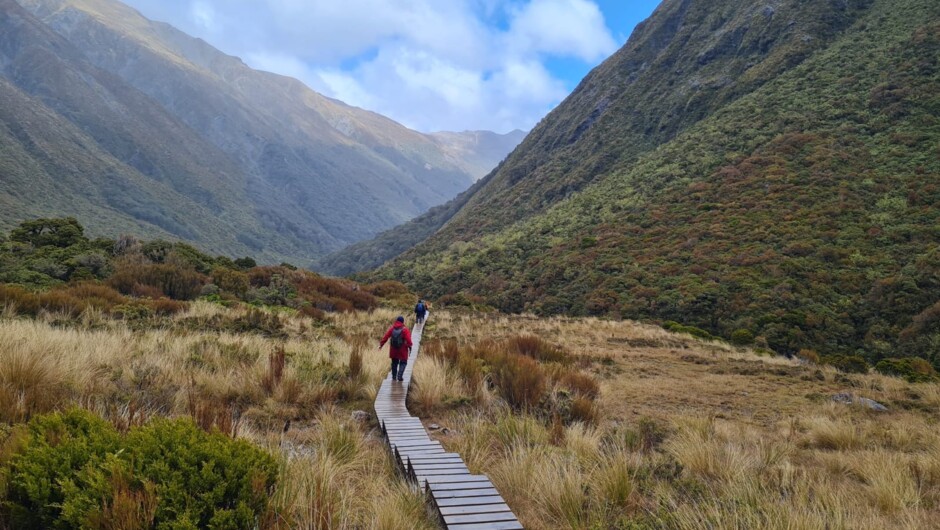 Refreshing boardwalk heading down from Goat Pass Hut