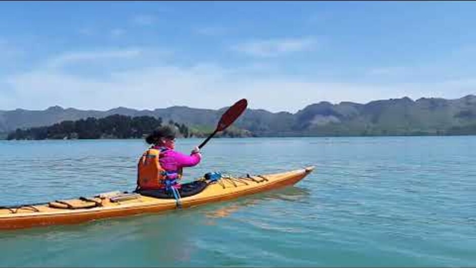 Sea kayaking in Lyttelton Harbour