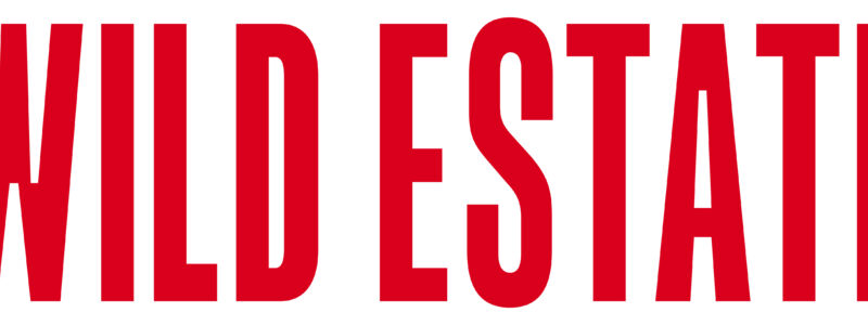 W.E Brand logo Red.png