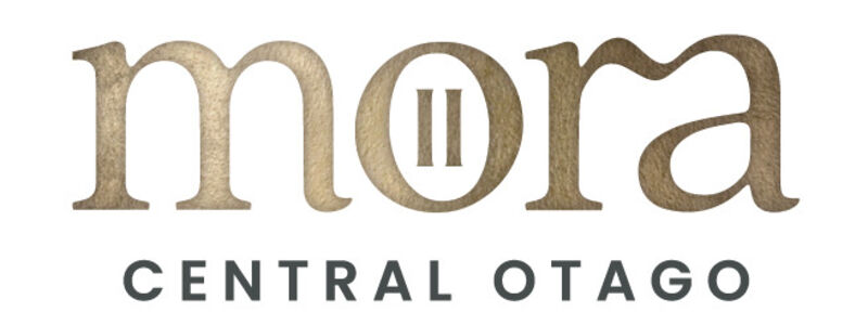 moraWordmark_Full_Col.png