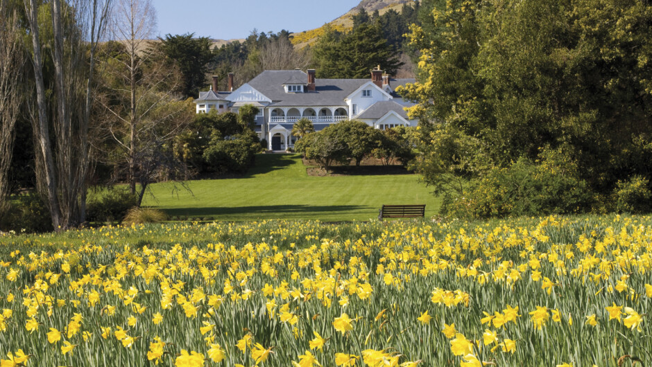 Otahuna Lodge in bloom