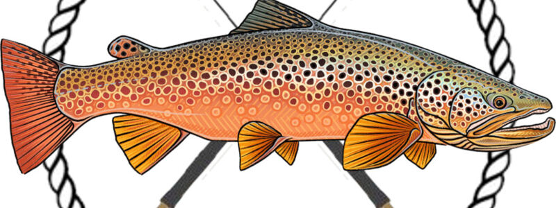 Logo Fly Fish Updated Rods.png