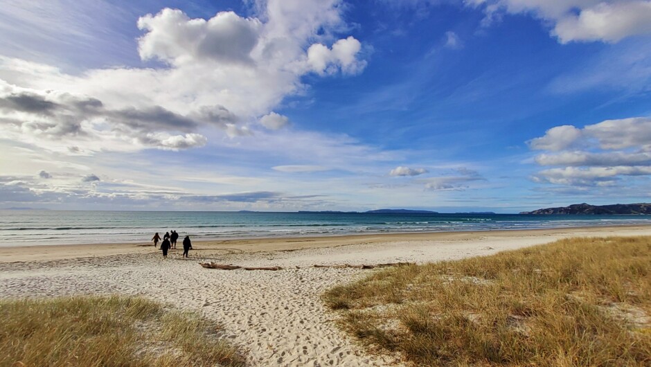 Otama Beach, Coromandel Peninsula