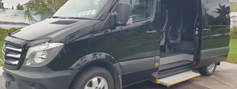 Mercedes Sprinter 1.jpg