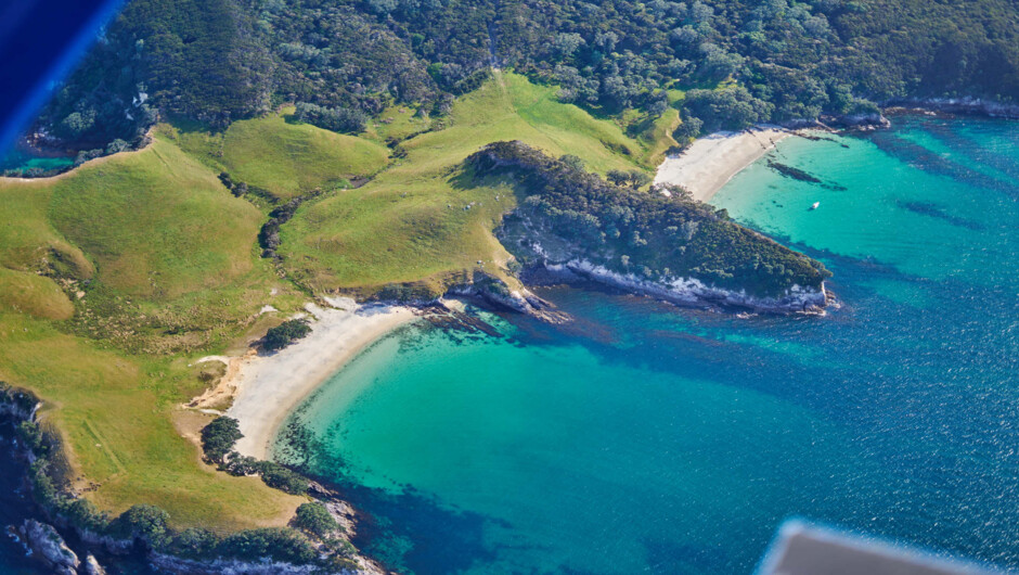 Discover the secluded beaches of Coromandel