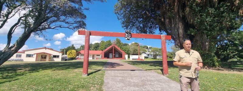 Lead Guide at Hinemoa Point